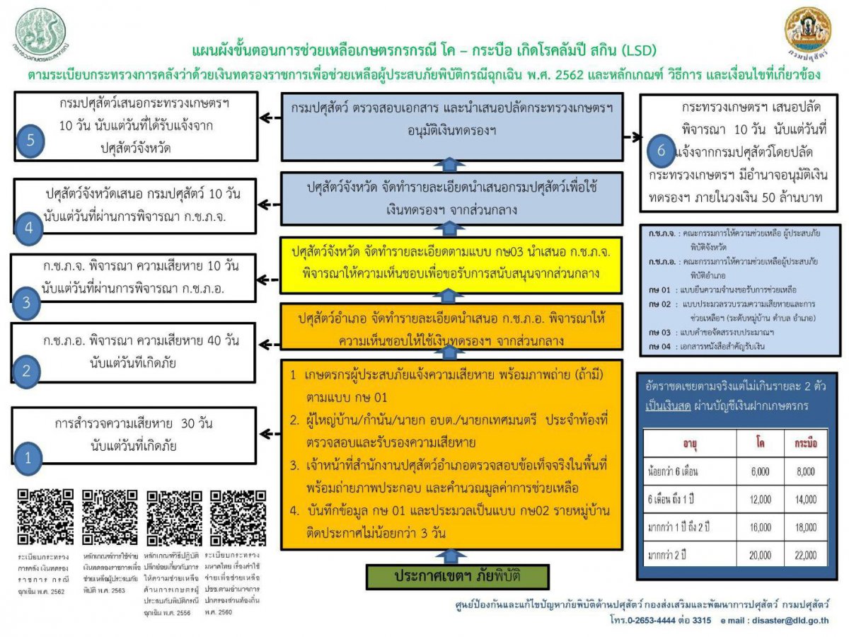 ประชาสัมพันธ์แผนผังขั้นตอนการช่วยเหลือเกษตรกรกรณีโค-กระบือเกิดโรคลัมปีสกิน