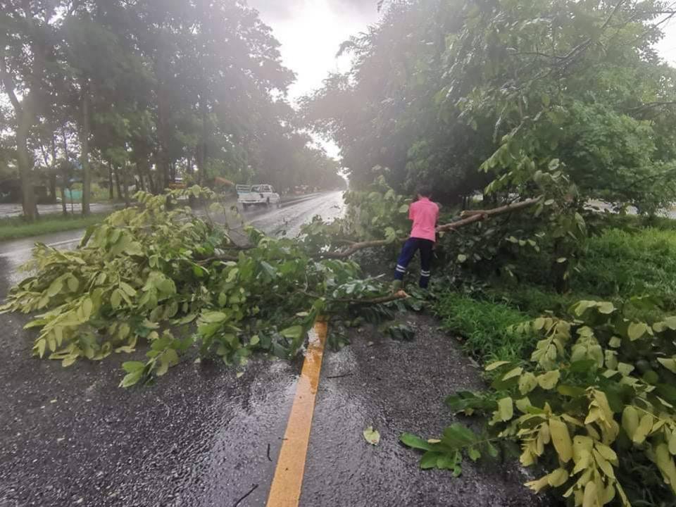 งานป้องกันและบรรเทาสาธารณภัย ร่วมกับงานกู้ชีพ อบต.อุดมทรัพย์ ตัดกิ่งไม้ที่ล้มขวางเส้นทางสัญจร