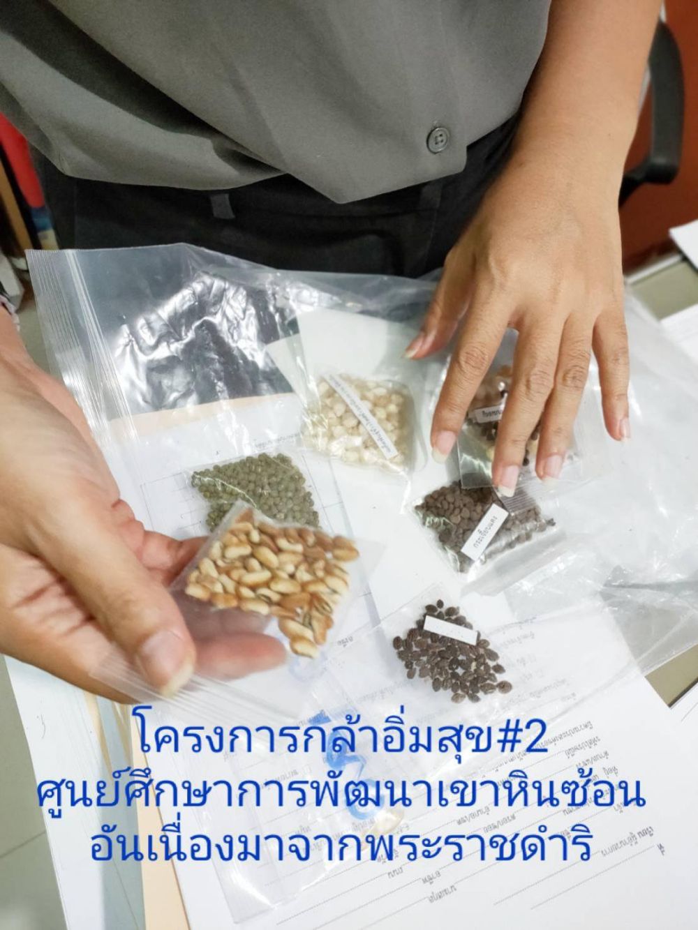 ประชาสัมพันธ์ โครงการกล้าอิ่มสุข2 ศูนย์ศึกษาการพัฒนาเขาหินซ้อนอันเนื่องมาจากพระราชดำริ