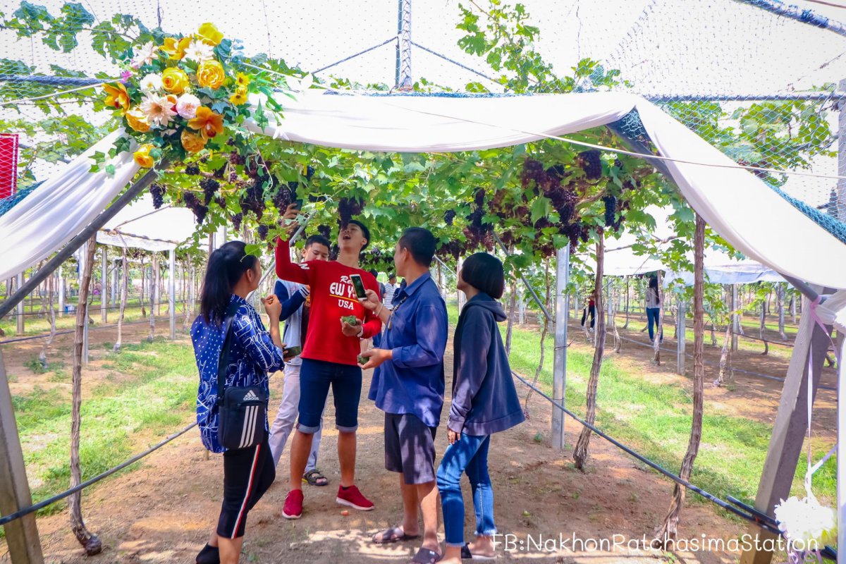 เปิดแหล่งท่องเที่ยวเชิงเกษตรแห่งใหม่ #อุดมทรัพย์วิลเลจฟาร์ม