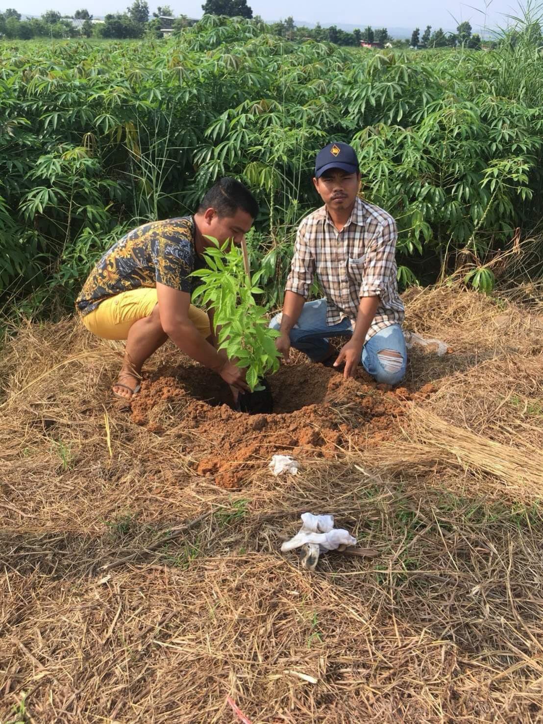 โครงการปรับภูมิทัศน์สำนักงาน องค์การบริหารส่วนตำบลอุดมทรัพย์และภายในตำบลอุดมทรัพย์