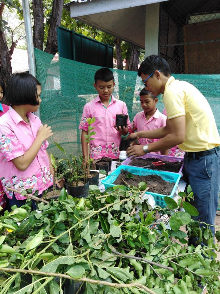 โครงการอบรมส่งเสริมการเพาะขยายพันธุ์พืชตำบลอุดมทรัพย์