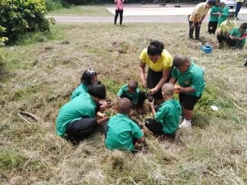 โครงการปลูกป่าเฉลิมพระเกียรติฯ