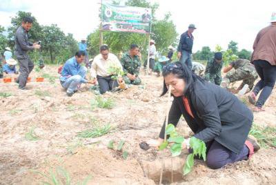 โครงการปลูกป่าเฉลิมพระเกียรติ ๘๒ พรรษามหาราชินี 