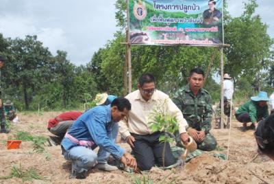 โครงการปลูกป่าเฉลิมพระเกียรติ ๘๒ พรรษามหาราชินี 