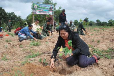 โครงการปลูกป่าเฉลิมพระเกียรติ ๘๒ พรรษามหาราชินี 