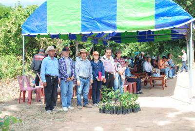 โครงการเฉลิมพระเกียรติปลูกไม้ผลยืนต้นครัวเรือนละต้น 