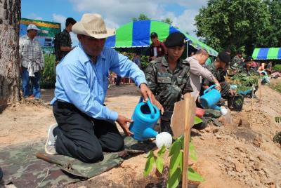 โครงการเฉลิมพระเกียรติปลูกไม้ผลยืนต้นครัวเรือนละต้น 