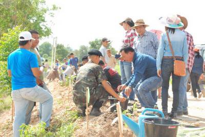 โครงการเฉลิมพระเกียรติปลูกไม้ผลยืนต้นครัวเรือนละต้น 