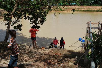 โครงการเฉลิมพระเกียรติปลูกไม้ผลยืนต้นครัวเรือนละต้น 