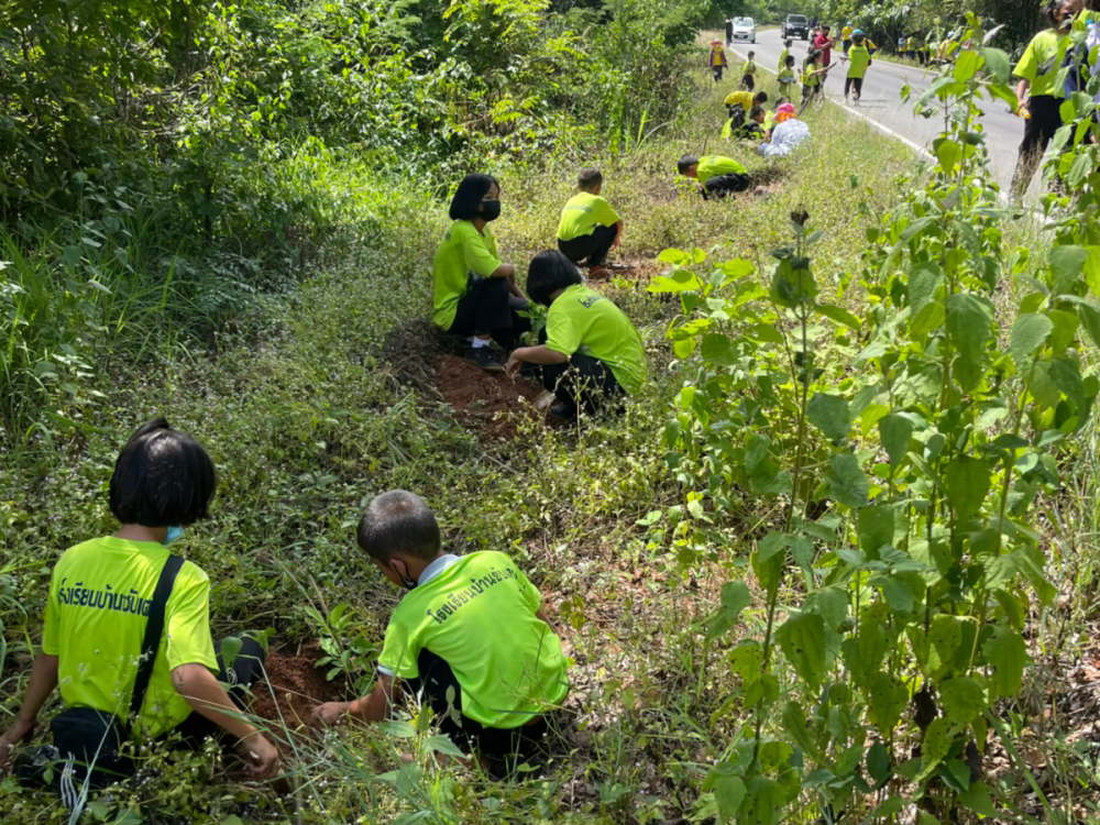 โครงการถนนสวย