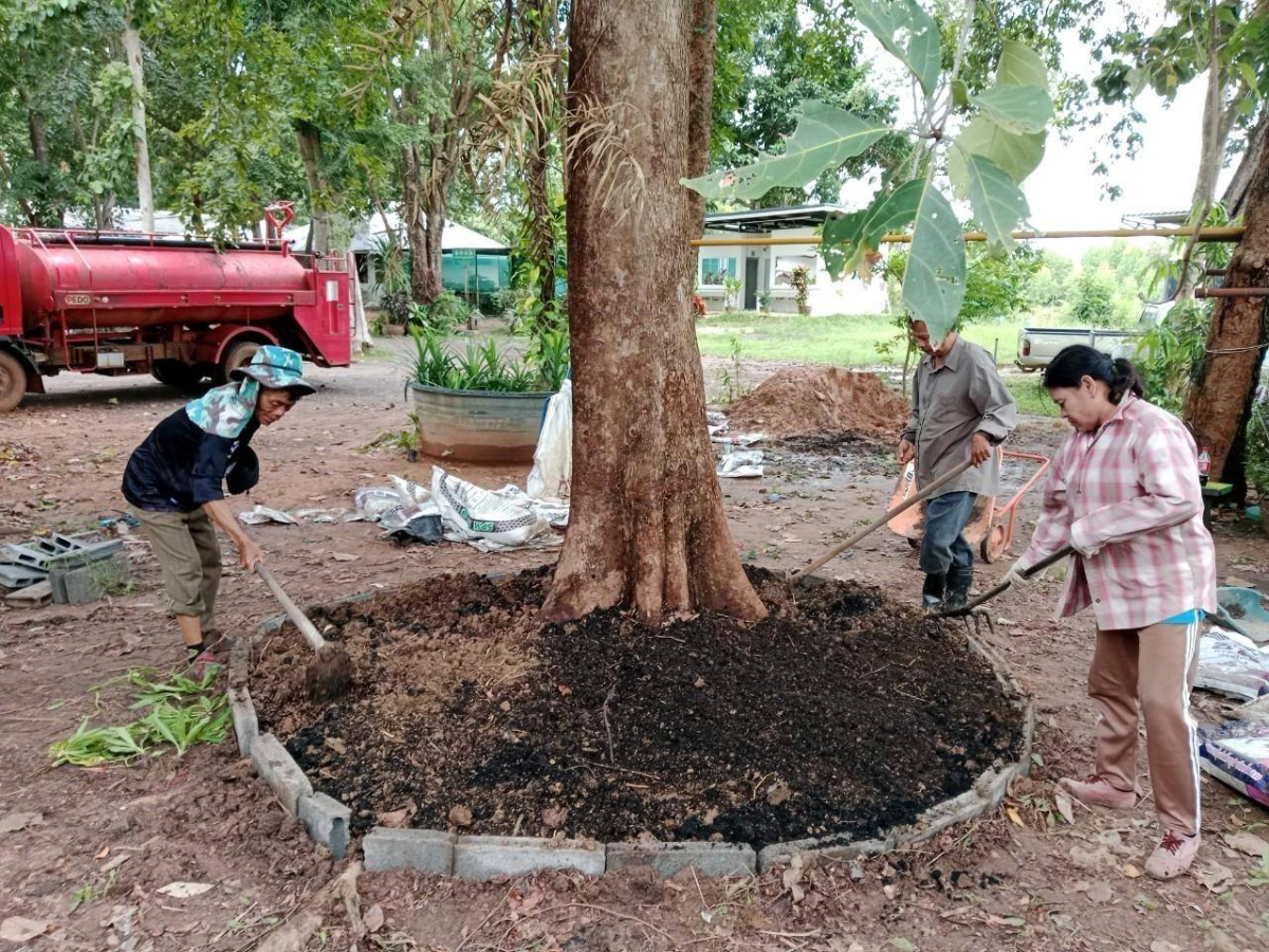 โครงการอนุรักษ์พันธุกรรมพืชตามแนวพระราชดำริฯ 