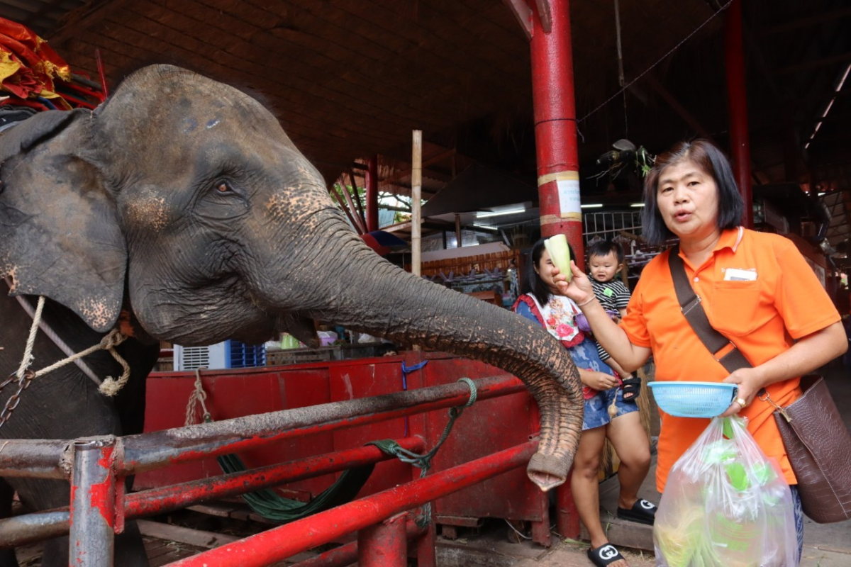 กิจกรรมโรงเรียนผู้สูงอายุอุดมทรัพย์บุญวัฒน์ ศึกษาแหล่งเรียนรู้นอกสถานที่ จ.พระนครศรีอยุธยา ในโครงการพัฒนาระบบการดูแลผู้สูงอายุและพัฒนาคุณภาพชีวิต ประจำปีงบประมาณ พ.ศ.2567