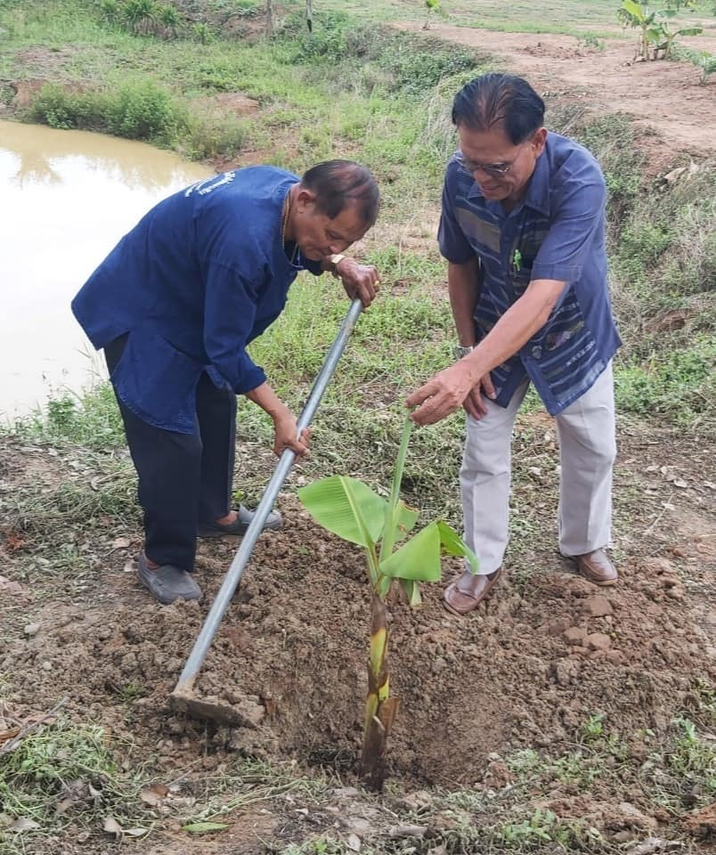 ร่วมกิจกรรมขับเคลื่อนการพัฒนาพื้นที่ต้นแบบการพัฒนาคุณภาพชีวิตตามหลักทฤษฎีใหม่ ประยุกต์สู่ "โคก หนอง นา พัฒนาชุมชน" กิจกรรม "หิ้วปิ่นโต เอามื้อสามัคคี" อำเภอวังน้ำเขียว เฉลิมพระเกียรติพระบาทสมเด็จพระเจ้าอยู่หัว เนื่องในโอกาสมหามงคลเฉลิมพระชนมพรรษา 6 รอบ 28 กรกฎาคม 2567 