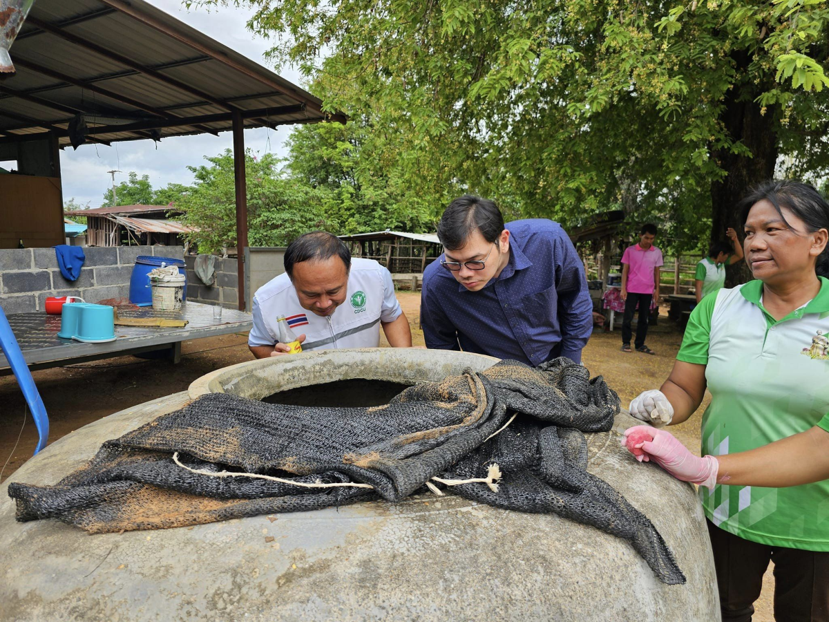 การดำเนินการเตรียมความพร้อมรับการประเมินตามโครงการโคราชเมืองสะอาดปลอดลูกน้ำยุงลาย ปี พ.ศ.2567