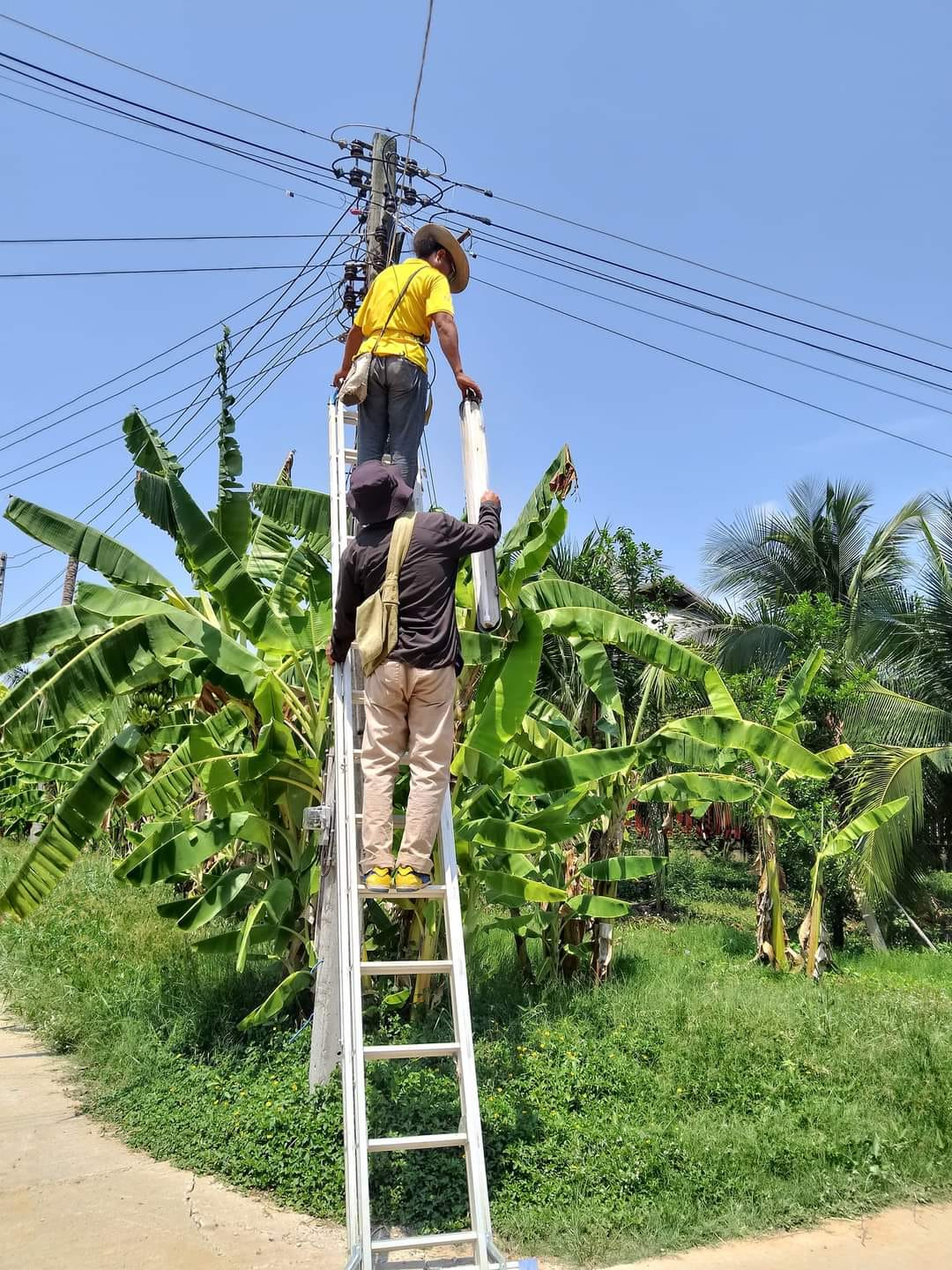 ตรวจสอบและซ่อมแซมไฟฟ้าส่องสว่างภายในหมู่ที่ 8 บ้านห้วยพรหม