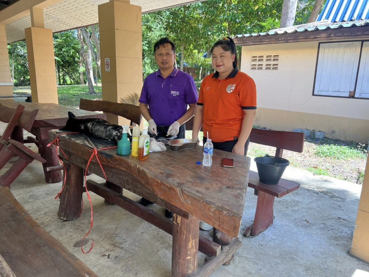 สนับสนุนวัคซีนป้องกันโรคพิษสุนัขบ้า ร่วมกับ สำนักงานปศุสัตว์อำเภอวังน้ำเขียว ดำเนินการฉีดวัคซีนป้องกันโรคพิษสุนัขบ้า และผ่าตัดทำหมันให้กับสุนัขและแมว 