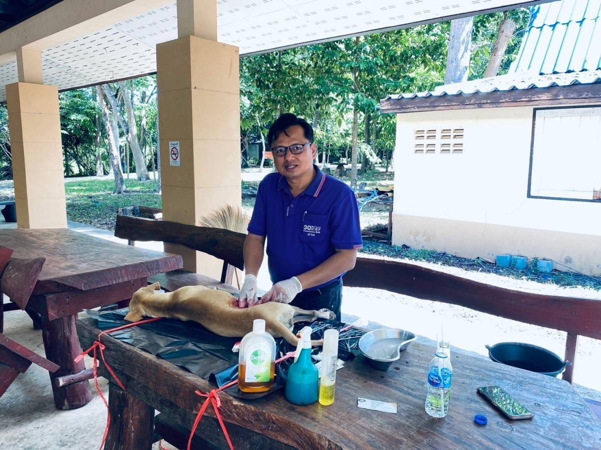 สนับสนุนวัคซีนป้องกันโรคพิษสุนัขบ้า ร่วมกับ สำนักงานปศุสัตว์อำเภอวังน้ำเขียว ดำเนินการฉีดวัคซีนป้องกันโรคพิษสุนัขบ้า และผ่าตัดทำหมันให้กับสุนัขและแมว 