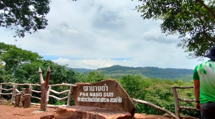 ผานางดำ ศูนย์วนวัฒนวิจัยที่ 6 นครราชสีมา