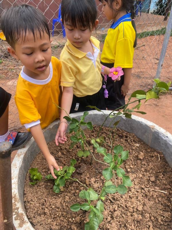 โครงการ 1 อปท. 1 สวนสมุนไพร เฉลิมพระเกียรติ พระบาทสมเด็จพระเจ้าอยู่หัว เนื่องในโอกาส วันเฉลิมพระชนมพรรษา ๖ รอบ  28 กรกฎาคม 2567