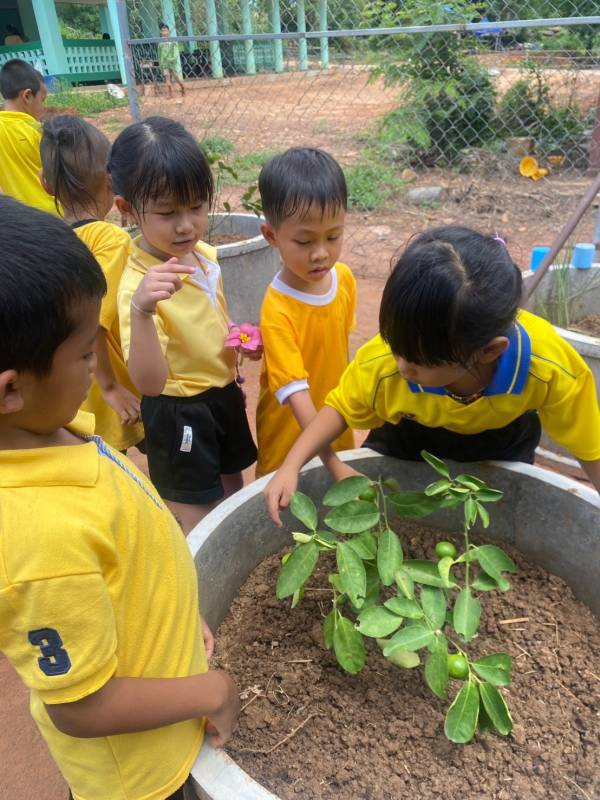 โครงการ 1 อปท. 1 สวนสมุนไพร เฉลิมพระเกียรติ พระบาทสมเด็จพระเจ้าอยู่หัว เนื่องในโอกาส วันเฉลิมพระชนมพรรษา ๖ รอบ  28 กรกฎาคม 2567