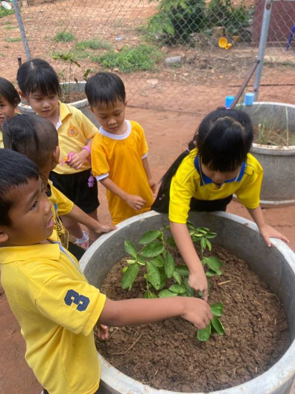 โครงการ 1 อปท. 1 สวนสมุนไพร เฉลิมพระเกียรติ พระบาทสมเด็จพระเจ้าอยู่หัว เนื่องในโอกาส วันเฉลิมพระชนมพรรษา ๖ รอบ  28 กรกฎาคม 2567