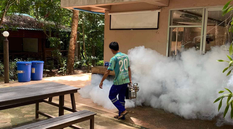 การดำเนินการฉีดพ่นหมอกควันเพื่อกำจัดลูกน้ำยุงลาย บริเวณสถานีวิจัยและฝึกนิสิตวนศาสตร์วังน้ำเขียว คณะวนศาสตร์ มหาวิทยาลัยเกษตรศาสตร์ หมู่ที่ 11