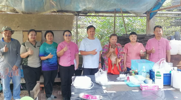 ร่วมกิจกรรม ทำหมันสุนัขจรจัด