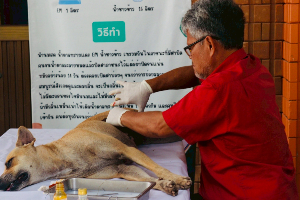 โครงการป้องกันและควบคุมโรคพิษสุนัขบ้า ประจำปีงบประมาณ พ.ศ.2568