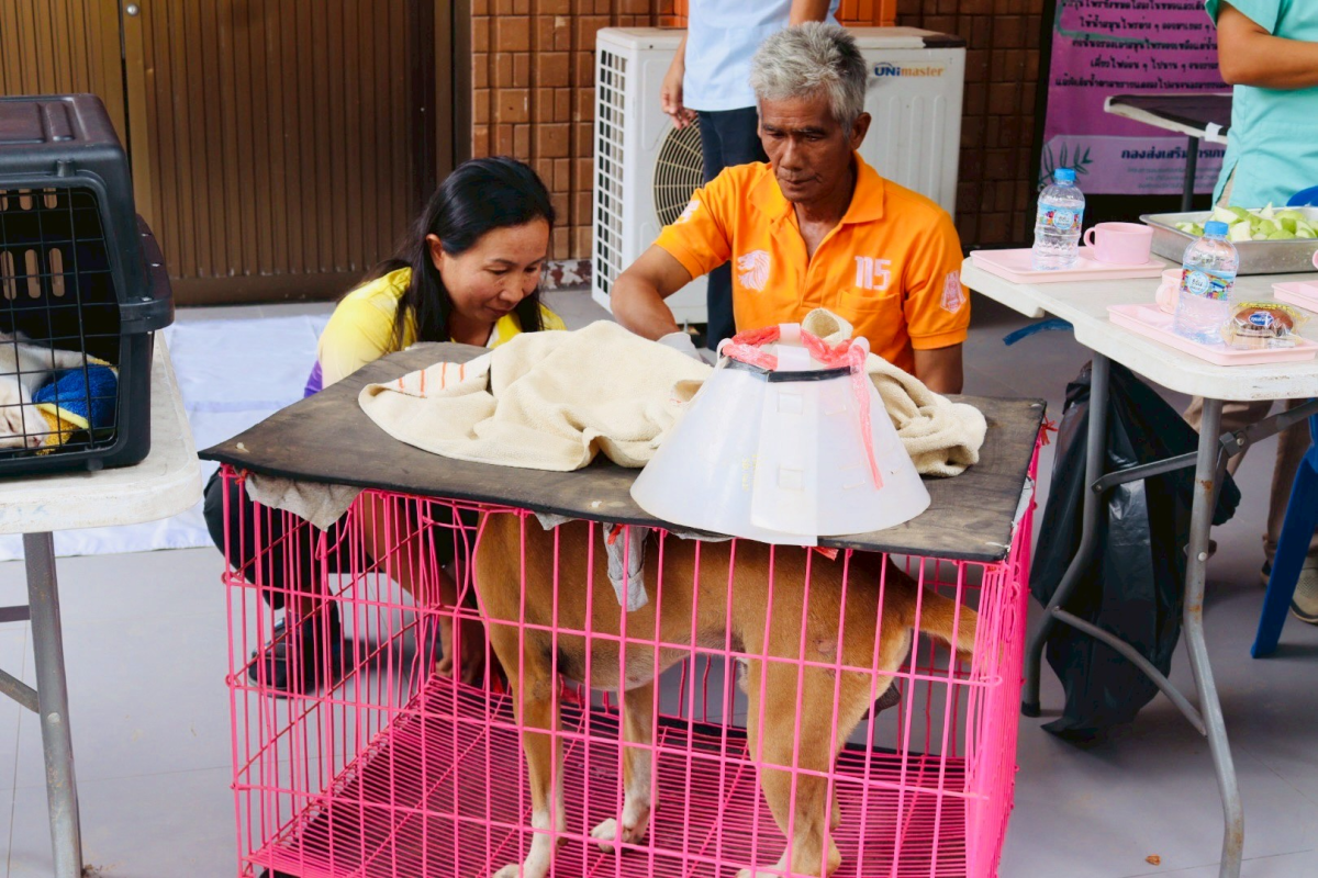 โครงการป้องกันและควบคุมโรคพิษสุนัขบ้า ประจำปีงบประมาณ พ.ศ.2568