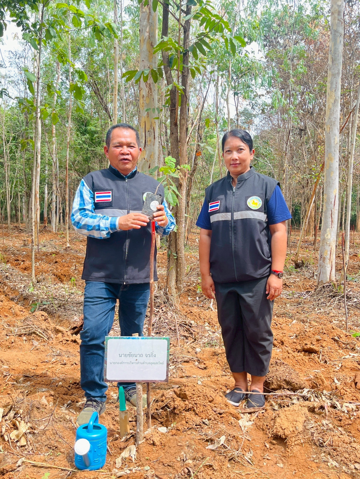 โครงการปลูกป่าเพื่อรองรับนโยบายความเป็นกลางทางคาร์บอนของมหาวิทยาลัยเกษตรศาสตร์