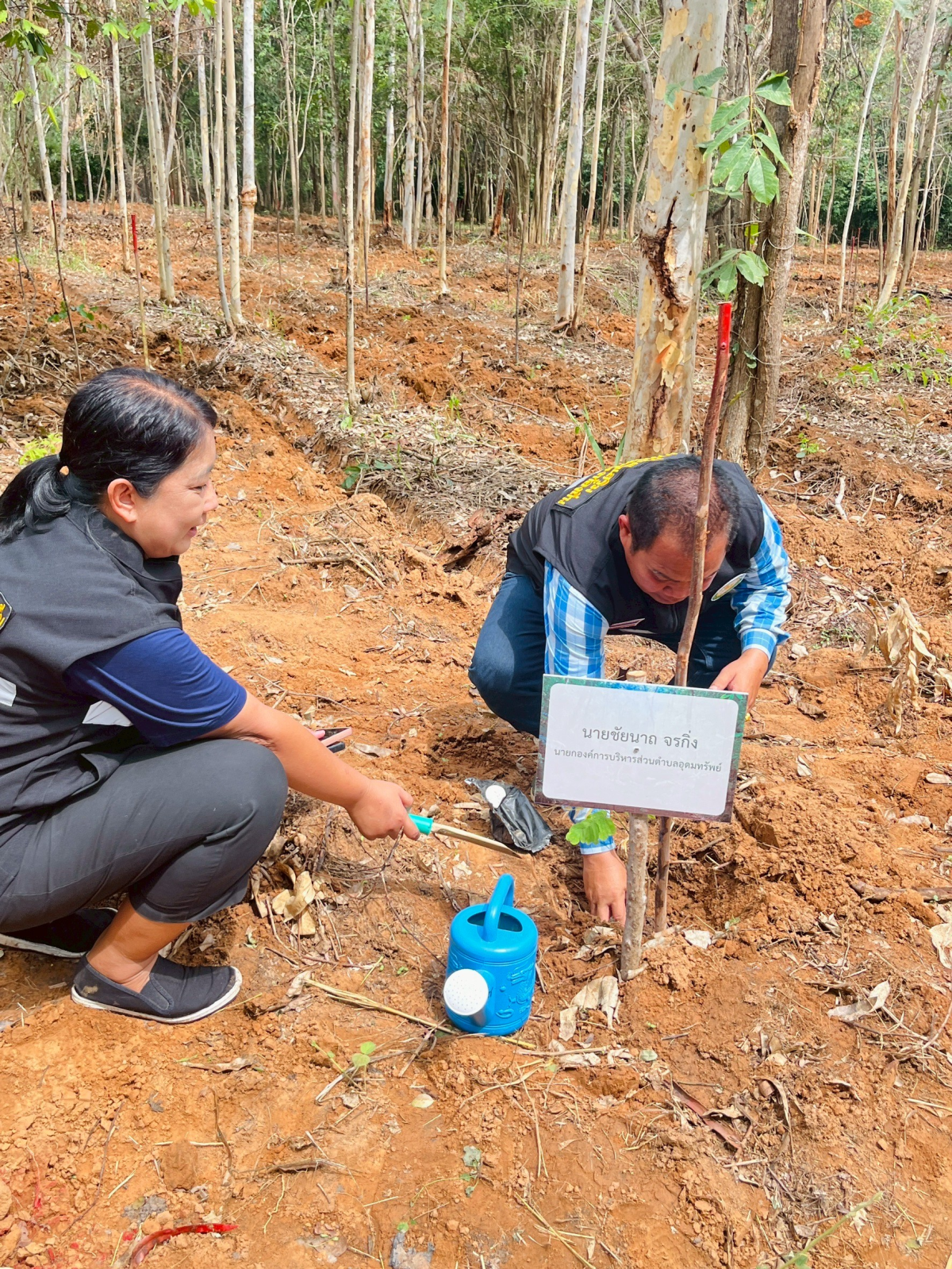 โครงการปลูกป่าเพื่อรองรับนโยบายความเป็นกลางทางคาร์บอนของมหาวิทยาลัยเกษตรศาสตร์