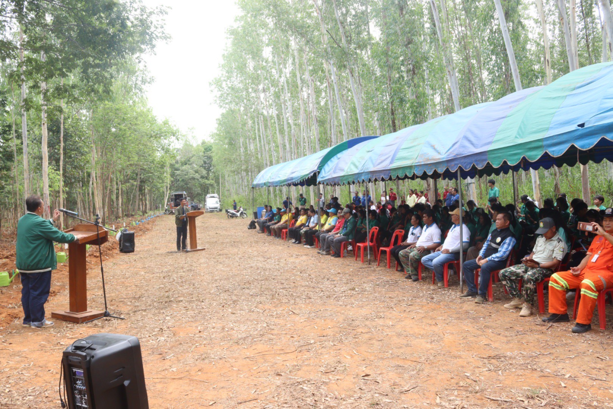 โครงการปลูกป่าเพื่อรองรับนโยบายความเป็นกลางทางคาร์บอนของมหาวิทยาลัยเกษตรศาสตร์