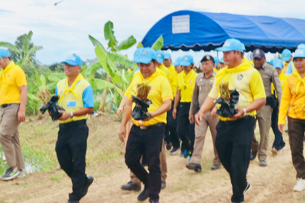 โครงการพัฒนาและรณรงค์การใช้หญ้าแฝกอันเนื่องมาจากพระราชดำริ  ประจำปีงบประมาณ พ.ศ. 2568