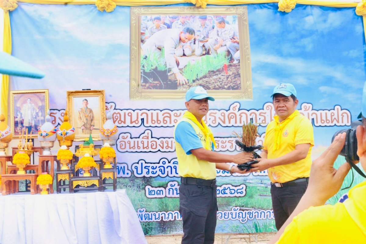 โครงการพัฒนาและรณรงค์การใช้หญ้าแฝกอันเนื่องมาจากพระราชดำริ  ประจำปีงบประมาณ พ.ศ. 2568