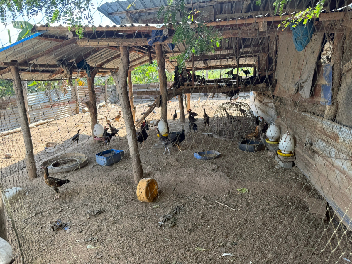 โครงการอนุรักษ์พันธุกรรมพืชตามแนวพระราชดำริสมเด็จพระเทพรัตนราชสุดาฯ สยามบรมราชกุมารีประจำปีงบประมาณ พ.ศ. 2568