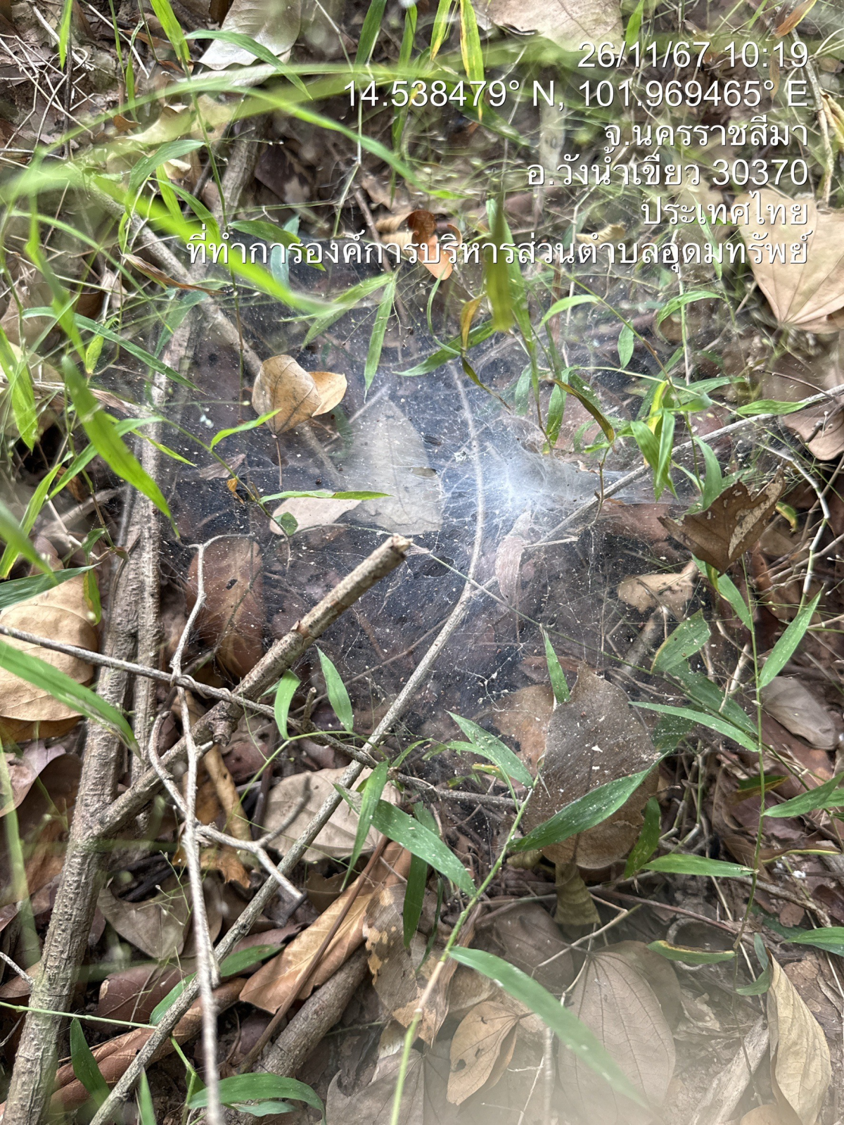 โครงการอนุรักษ์พันธุกรรมพืชตามแนวพระราชดำริสมเด็จพระเทพรัตนราชสุดาฯ สยามบรมราชกุมารีประจำปีงบประมาณ พ.ศ. 2568
