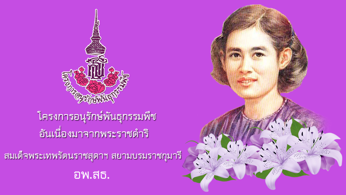 โครงการอนุรักษ์พันธุกรรมพืชตามแนวพระราชดำริสมเด็จพระเทพรัตนราชสุดาฯ สยามบรมราชกุมารีประจำปีงบประมาณ พ.ศ. 2568