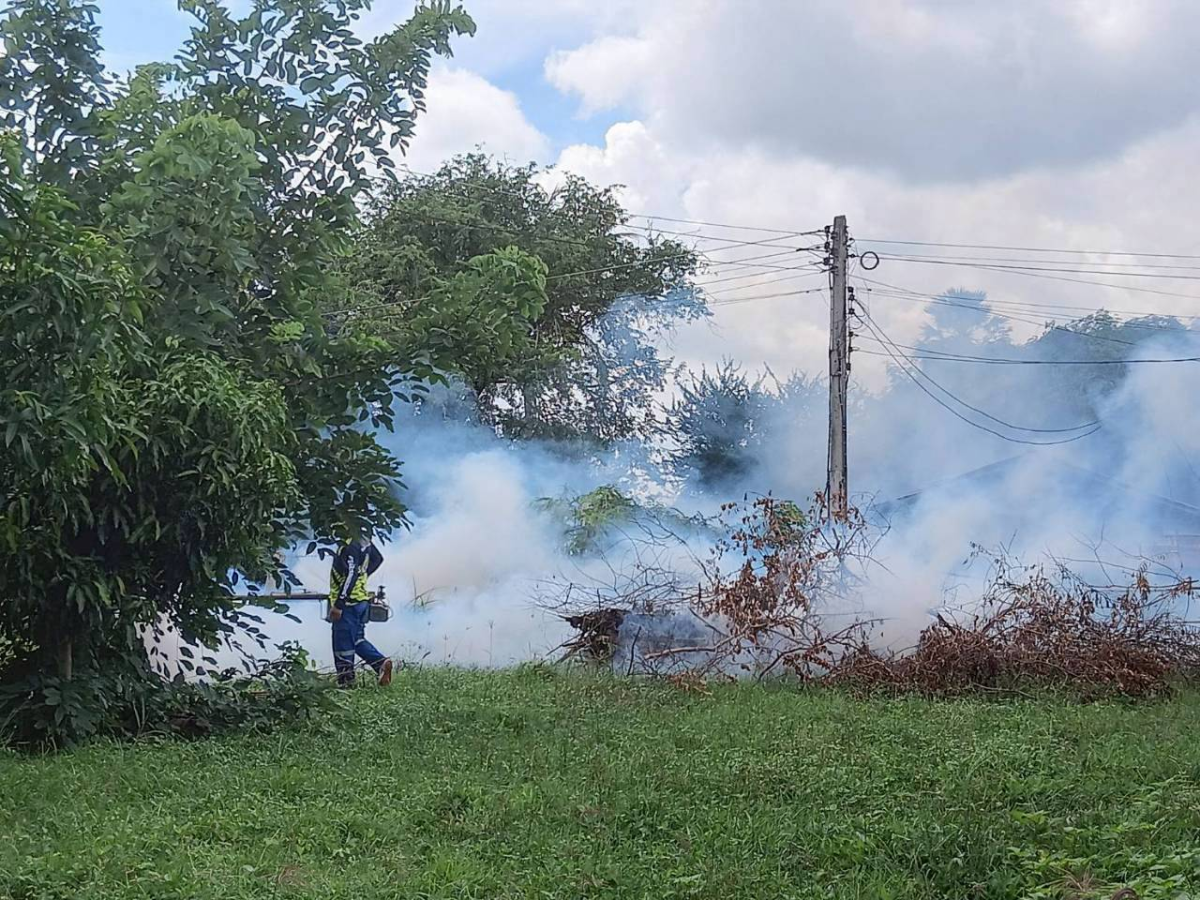 กิจกรรมฉีดพ่นหมอกควันกำจัดลูกน้ำยุงลาย  บริเวณภายในหมู่บ้านตะกุดรัง หมู่ที่ 4