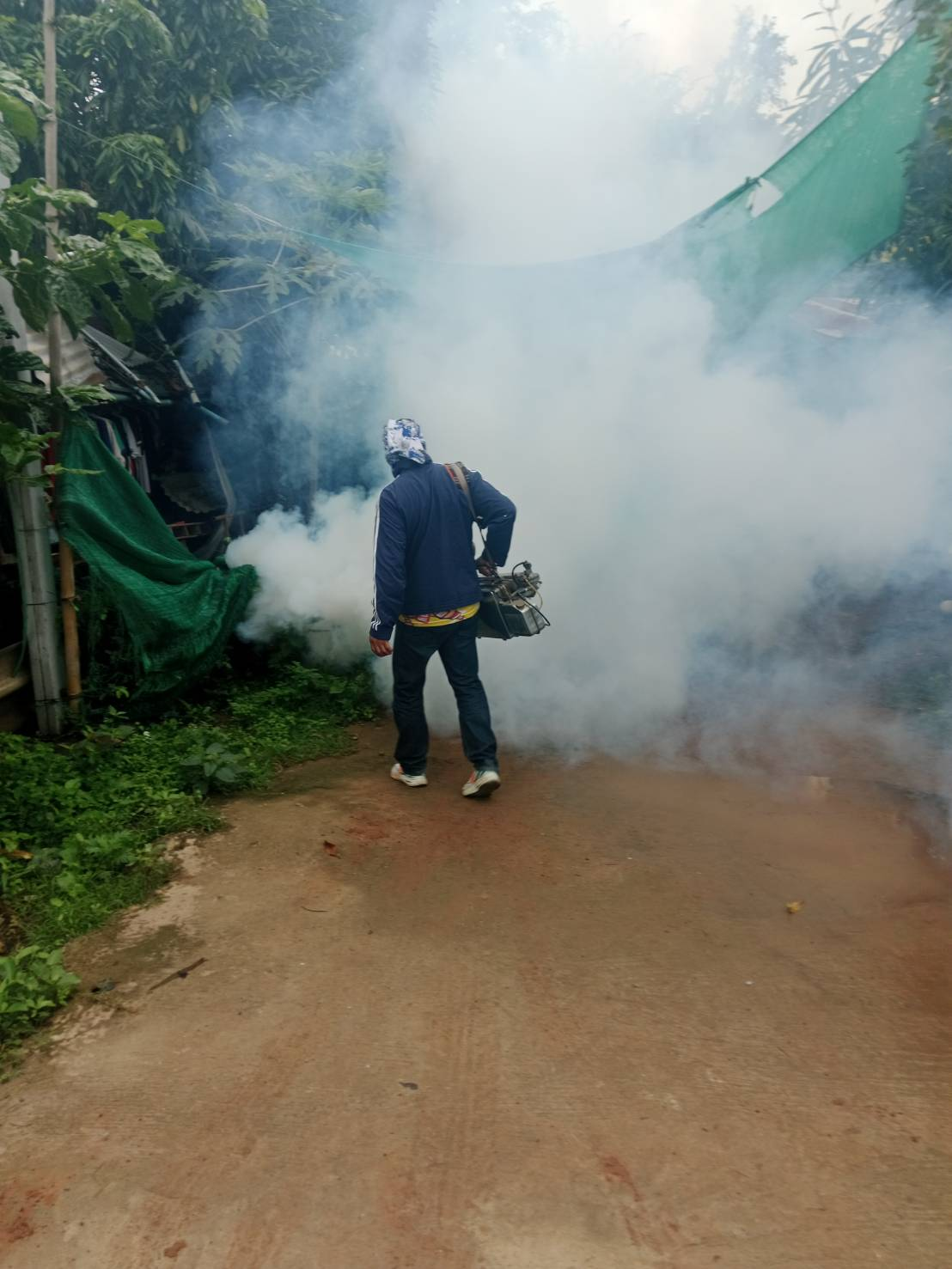 กิจกรรมฉีดพ่นหมอกควันกำจัดลูกน้ำยุงลาย ภายในหมู่บ้านวังน้ำเขียว ม.9