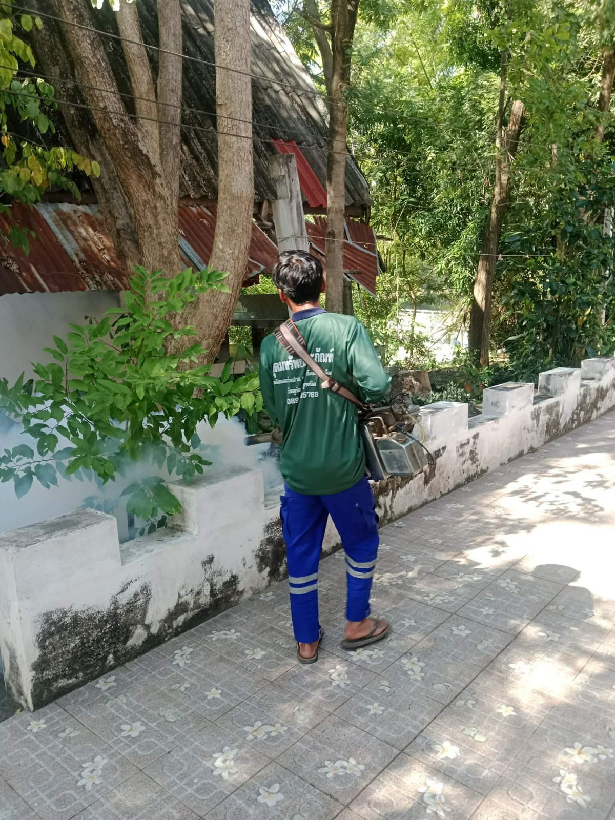 กิจกรรมฉีดพ่นหมอกควันกำจัดลูกน้ำยุงลาย ภายในวัดโนนค่าง ต.อุดมทรัพย์ อ.วังน้ำเขียว จ.นครราชสีมา