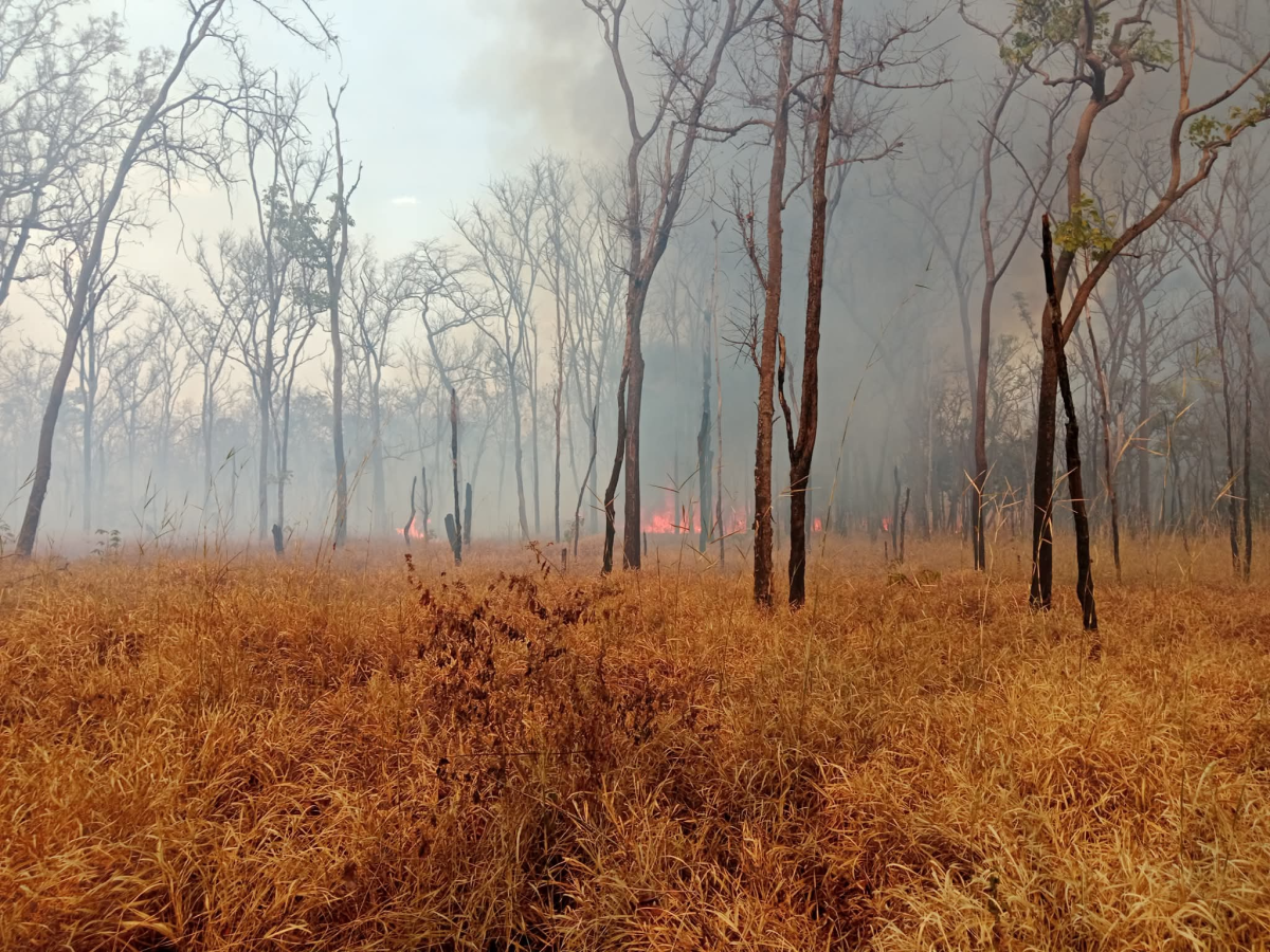 ควบคุมสถานการณ์ ป้องกันการลุกลามของไฟป่า