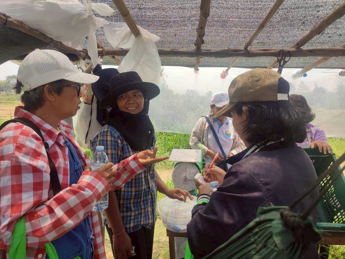 โครงการฝึกอบรมและศึกษาดูงานเกษตรยั่งยืนปลอดภัยไร้สารพิษและเกษตรผสมผสาน 