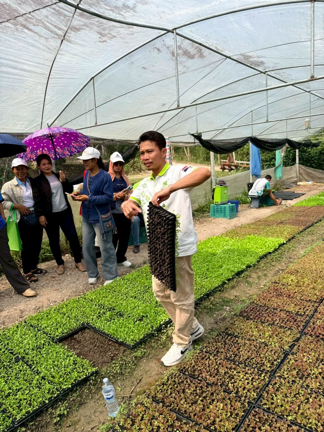 โครงการฝึกอบรมและศึกษาดูงานเกษตรยั่งยืนปลอดภัยไร้สารพิษและเกษตรผสมผสาน 
