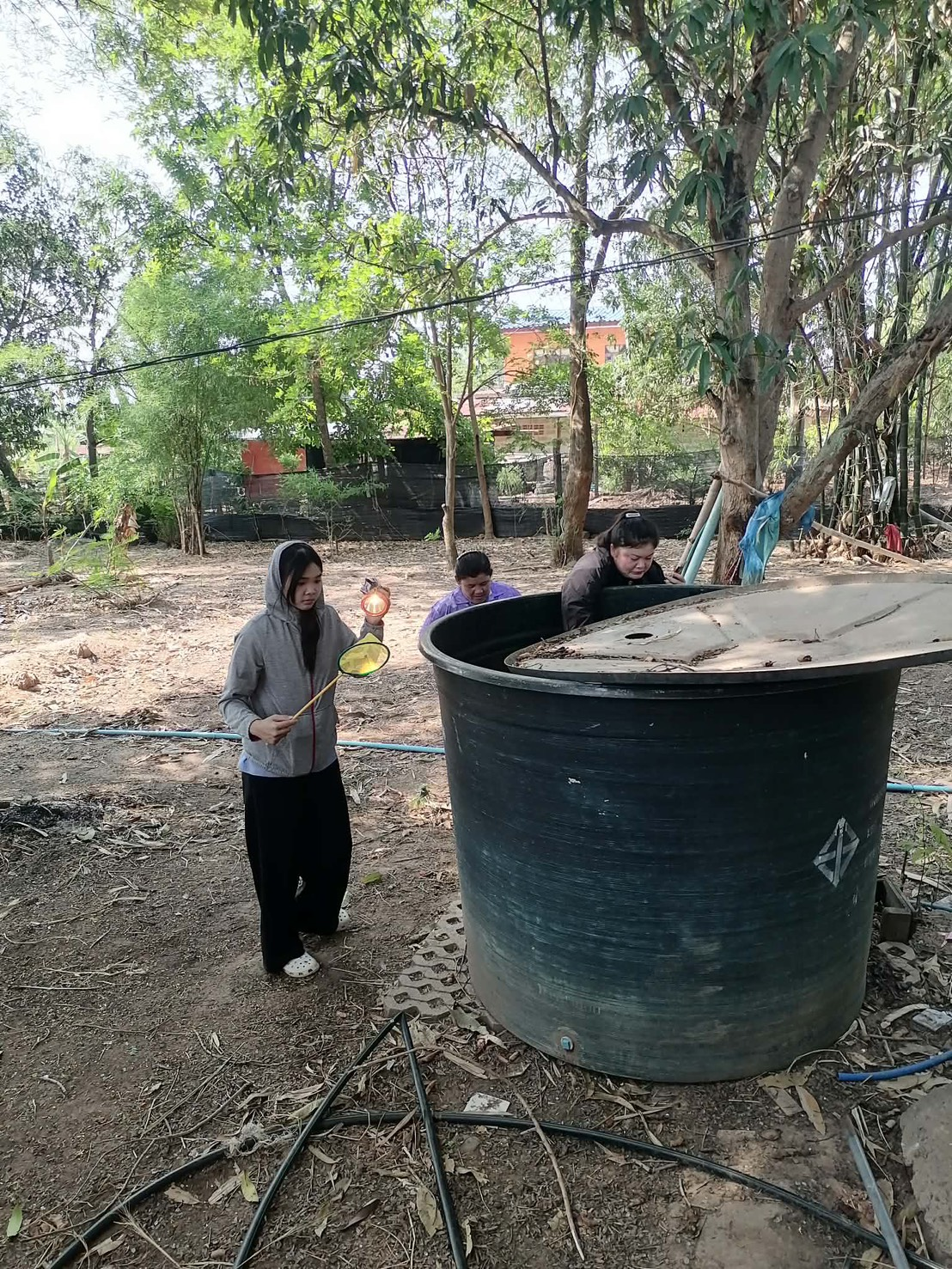 กิจกรรมศึกษาความต้านทานของยุงต่อสารเคมีในพื้นที่เสี่ยงสูง โดยดำเนินการเก็บตัวอย่างลูกน้ำยุงลาย ในพื้นที่หมู่บ้านหัวเขาทอง ม.15 
