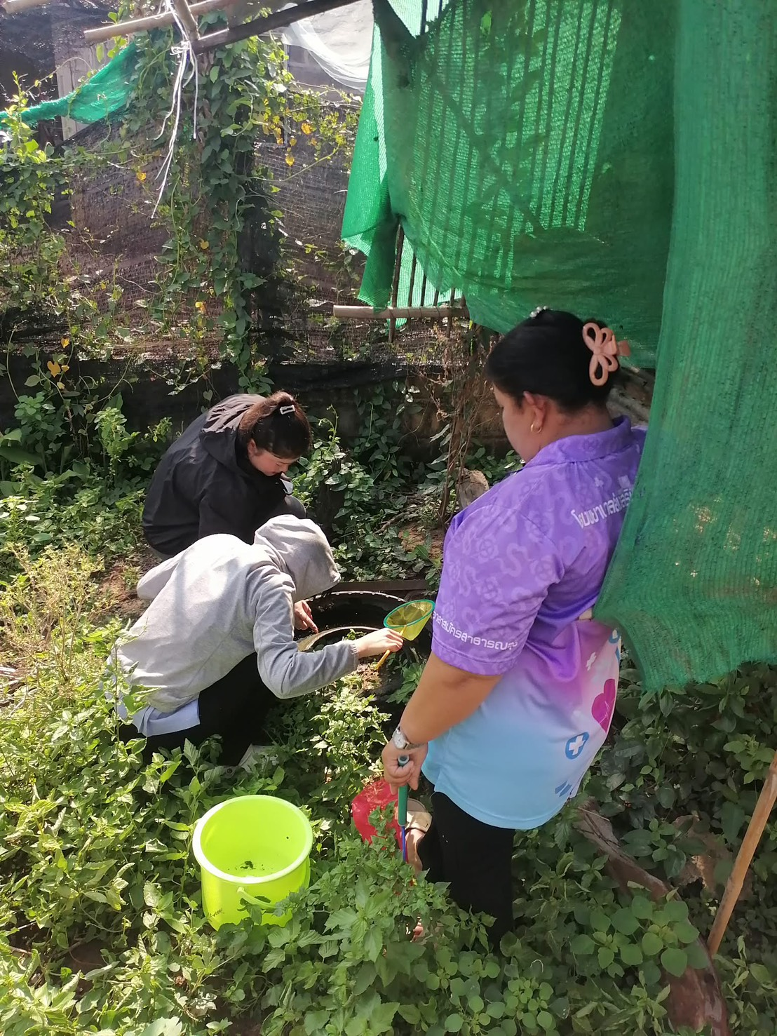 กิจกรรมศึกษาความต้านทานของยุงต่อสารเคมีในพื้นที่เสี่ยงสูง โดยดำเนินการเก็บตัวอย่างลูกน้ำยุงลาย ในพื้นที่หมู่บ้านหัวเขาทอง ม.15 