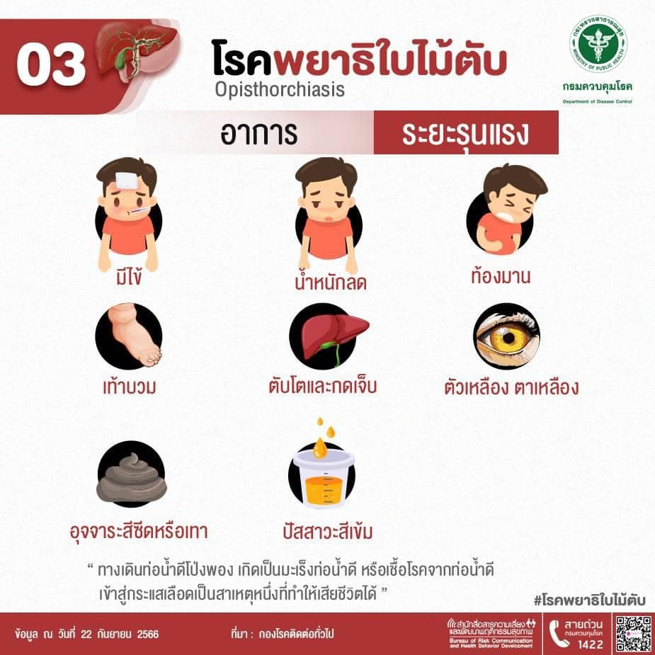 โรคพยาธิใบไม้ตับ (Opisthorchiasis) เกิดจากพยาธิใบไม้ตับ ซึ่งโรคนี้เป็นสาเหตุหลักของโรคมะเร็งท่อน้ำดีในคนไทย